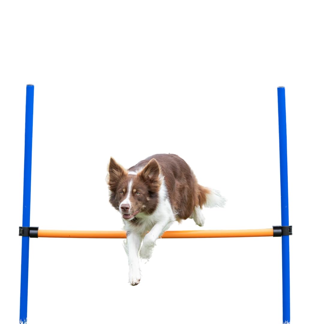 TRIXIE Hunde Agility Hürde – Agility-Ausrüstung für Hunde mit höhenverstellbarer Querstange, Trainingsausrüstung für Hunde ideal für Anfänger & Fortgeschrittene 123 x 115 cm – 3270