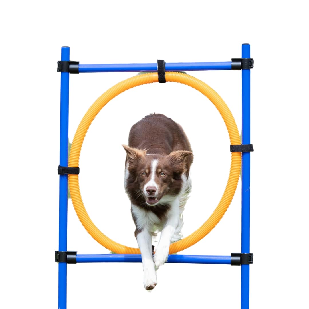 TRIXIE Hunde Agility Ring – Hundesprung mit höhenverstellbarem Reifen – Hunde Agility Ring, ideal für Anfänger & Fortgeschrittene – für Hunde-Hindernisparcours – 3208