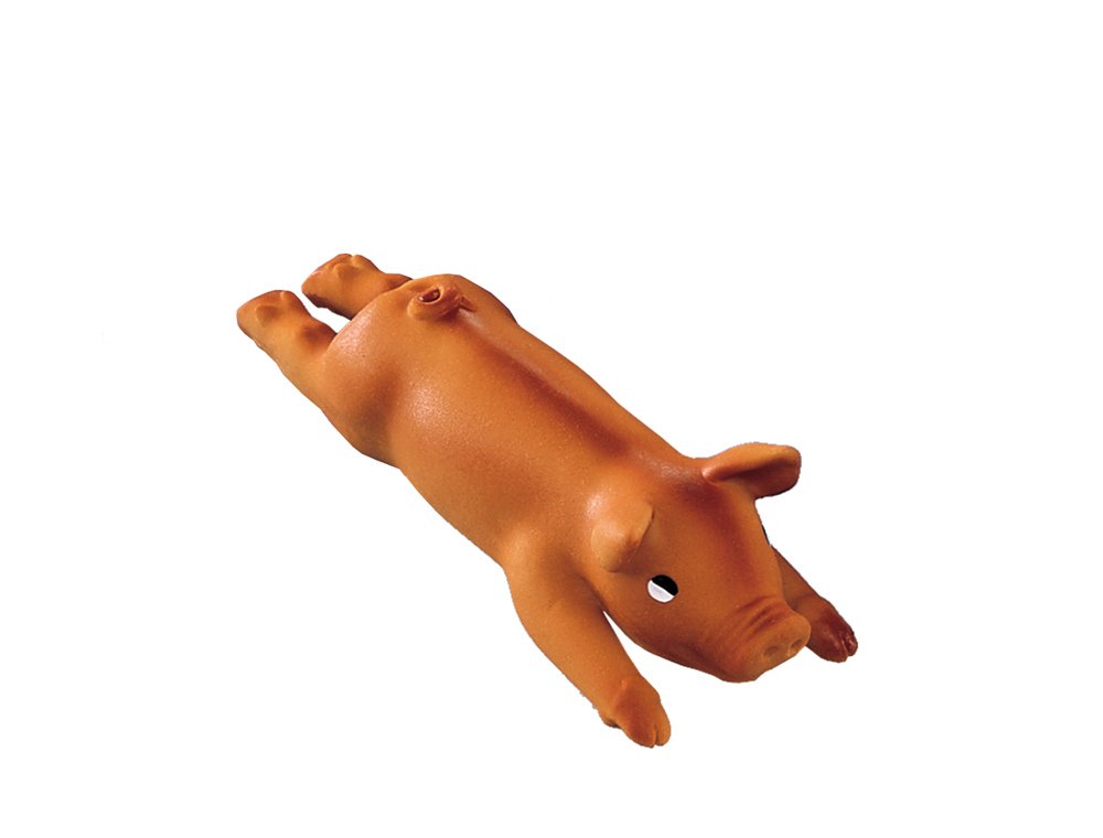 Nobby Latex Schwein, 24 cm, 1 Stück