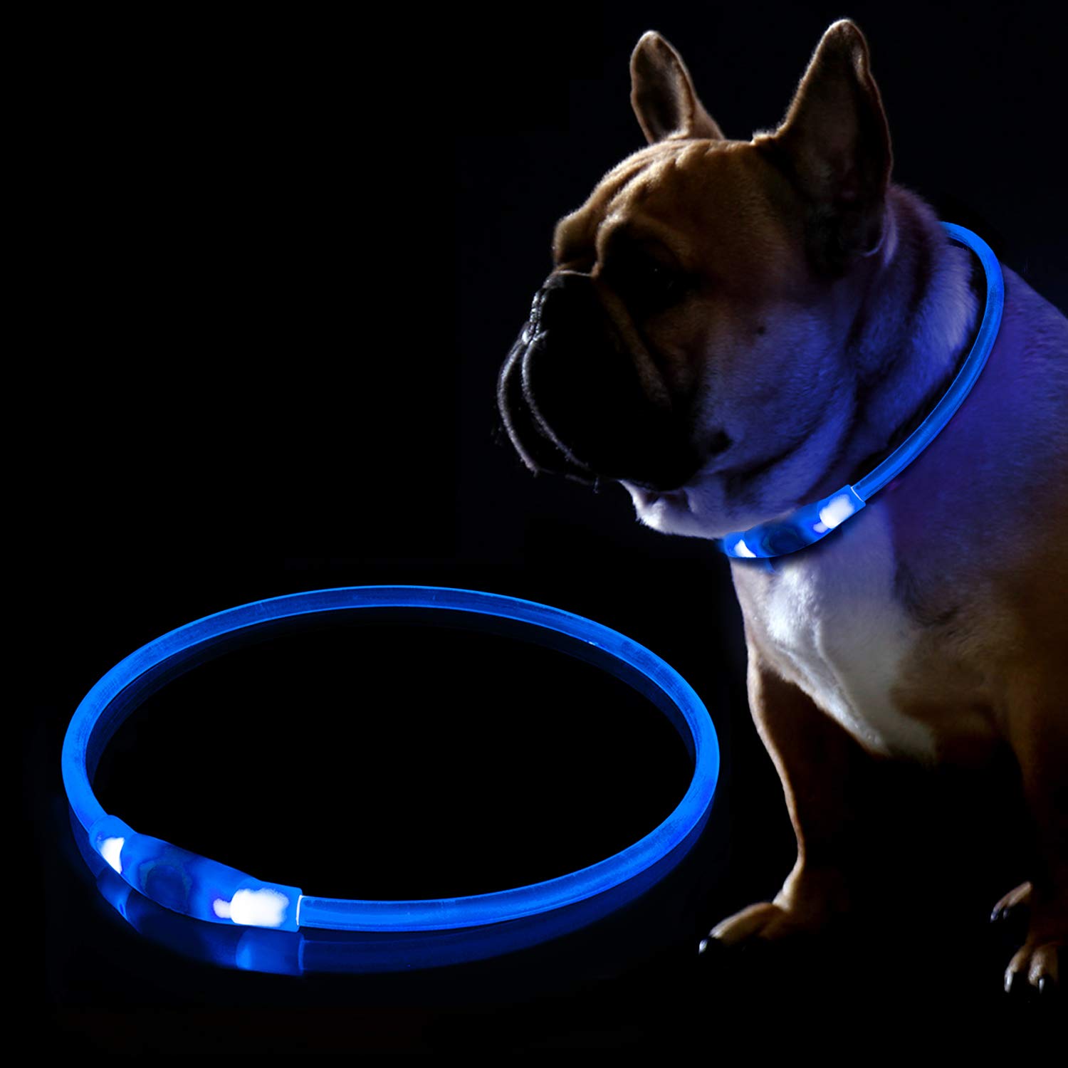 KABB LED Hundehalsband, USB Wiederaufladbares Blinkhalsband für die Sicherheit bei Nacht, Verstellbares, Wasserdichtes, Hell Beleuchtetes Halsband für Hunde – Eine Grösse passt Allen, Blau