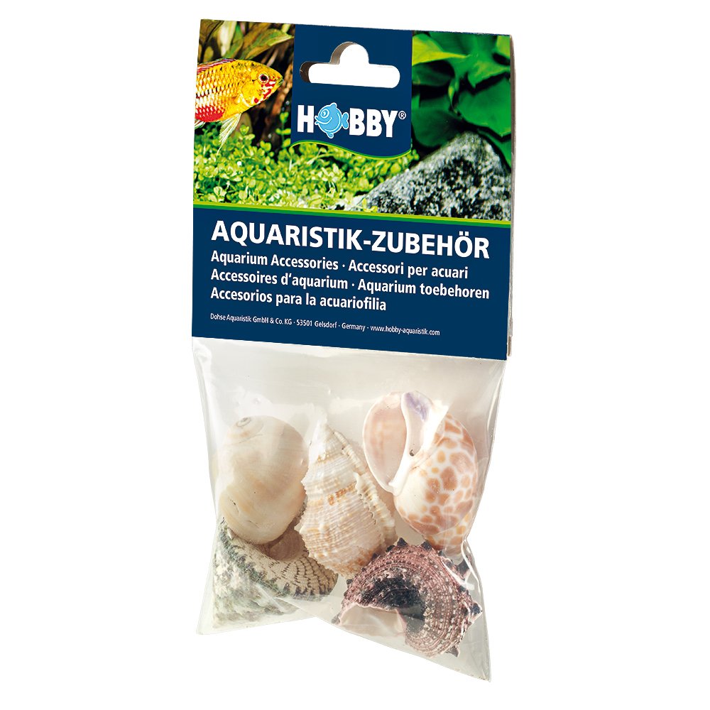 Hobby 40224 Sea Shells Set, L