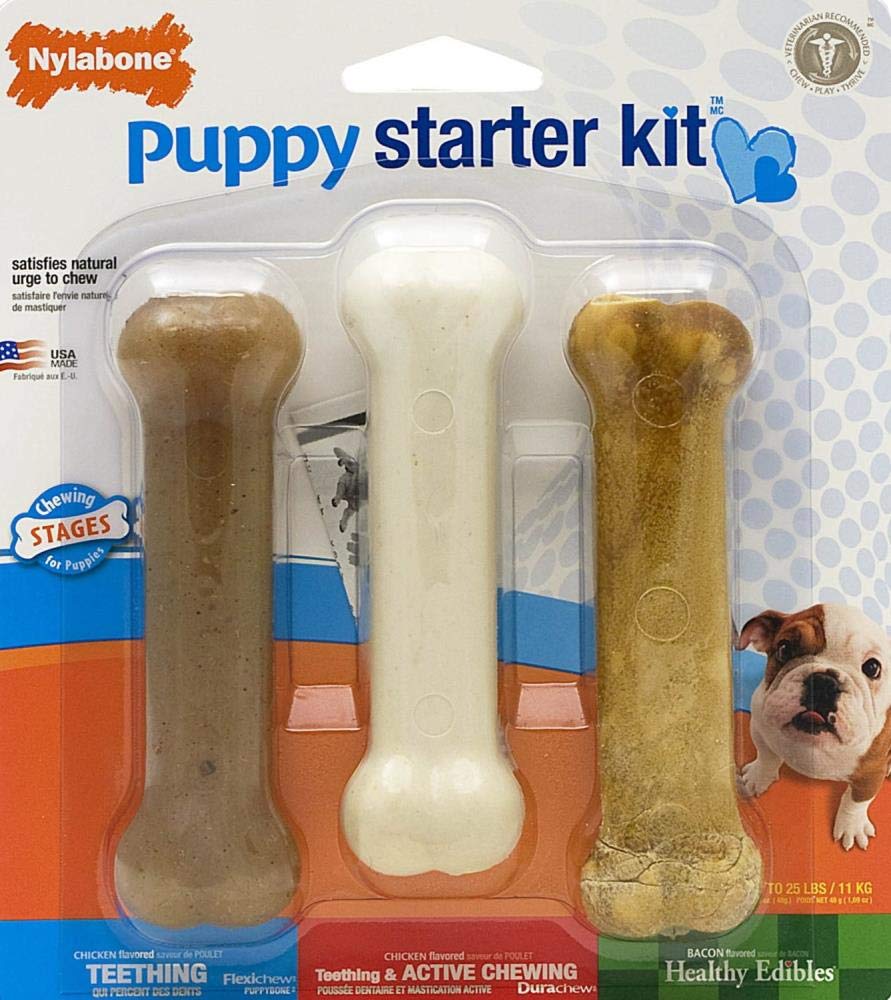 Nylabone Kauspielzeug für Welpen Starter Kit, 3 Stück (1er Pack)