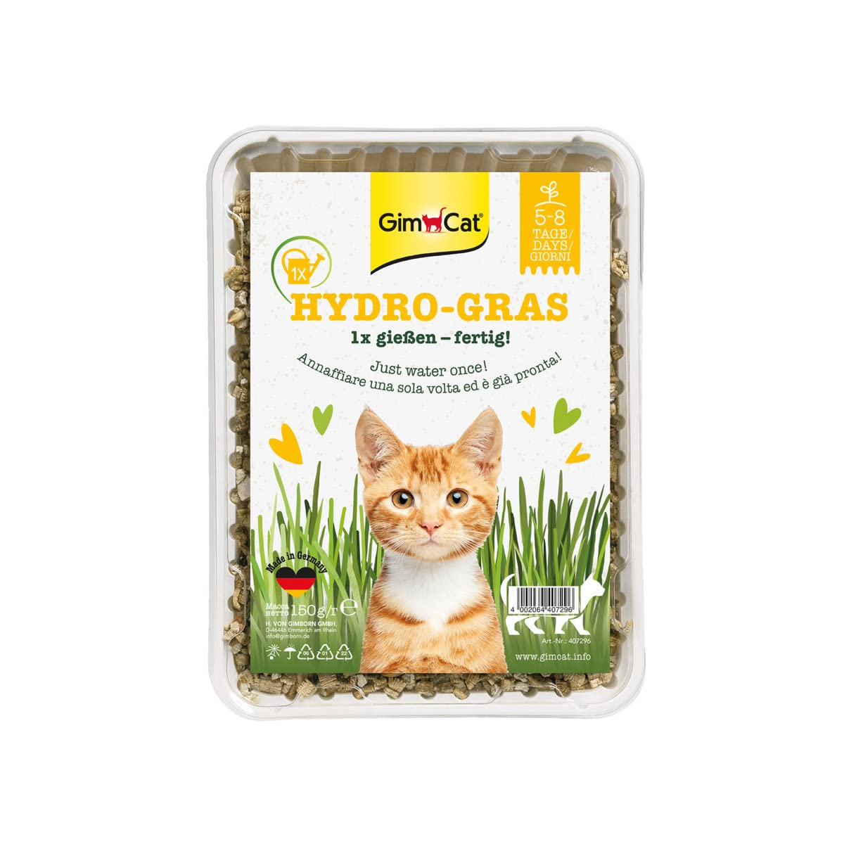 GimCat Hydro-Gras – Frisches Katzengras aus kontrolliertem Feldanbau in nur 5 bis 8 Tagen – 1 Schale (1 x 150 g)