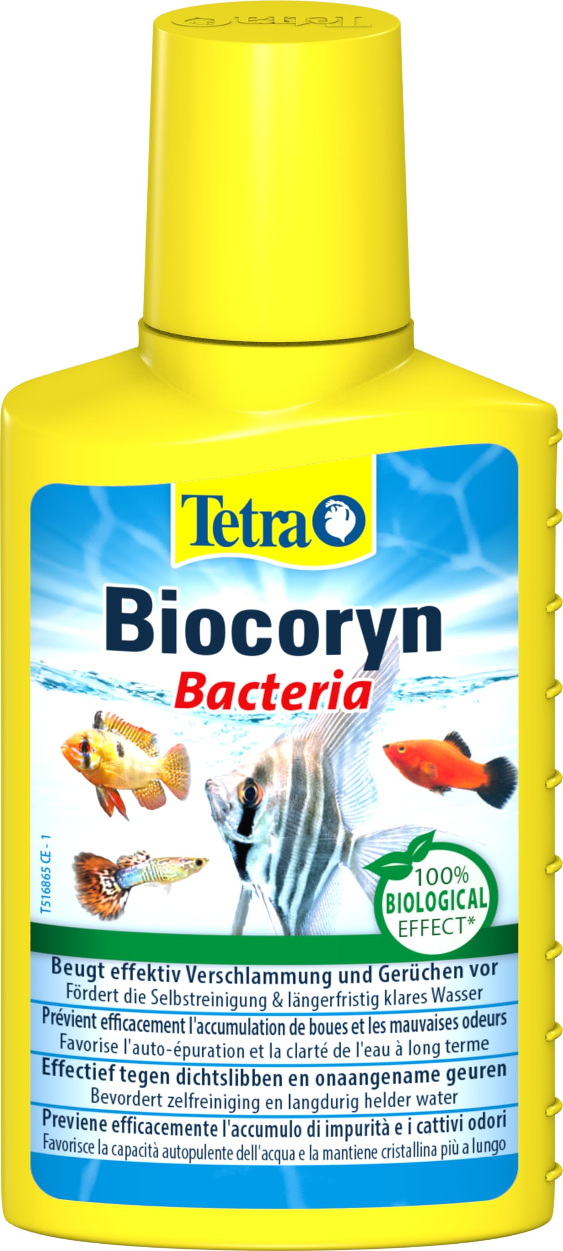 Tetra Biocoryn – Wasseraufbereitungsmittel zum biologischen Abbau von Schadstoffen, beugt Verschlammung & Gerüchen im Aquarium vor, 100 ml