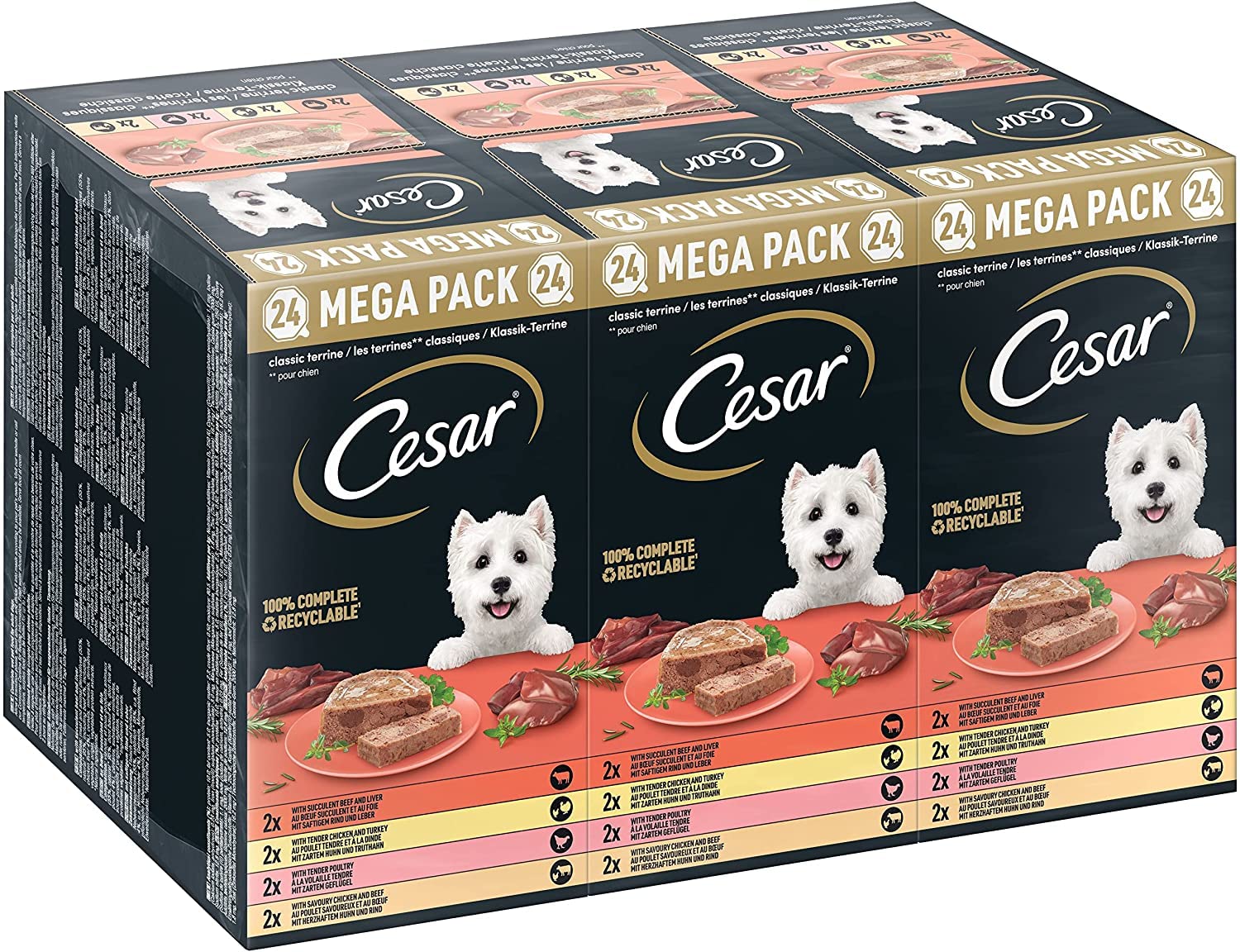 Cesar Megapack Klassik-Terrine – Hundenassfutter in der Schale – 4 Varietäten im Multipack – 24 x 150g