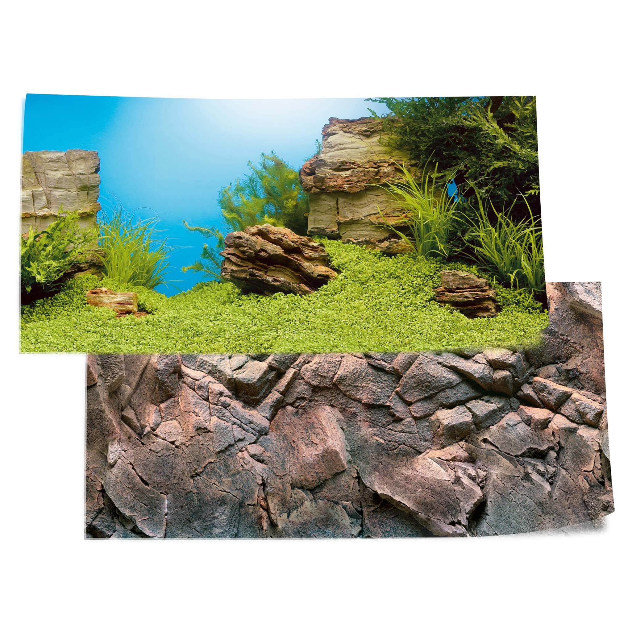 Juwel Aquarium – Poster 1 S – passend für Aquarien 60 x 30 cm