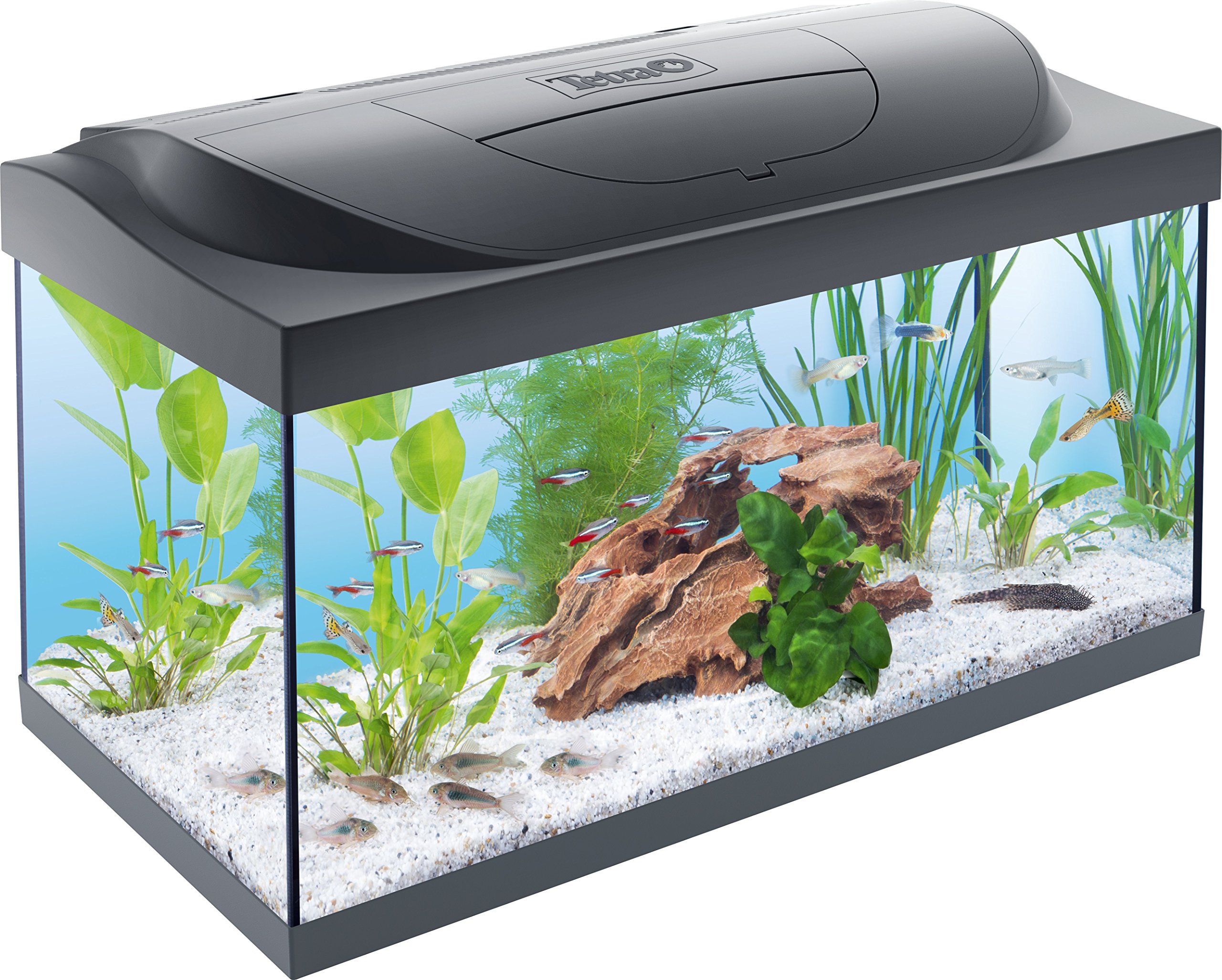 Tetra Starter Line 54 L Aquarium Komplett-Set – inkl. Tag- & Nachtlicht LED-Beleuchtung, Innenfilter, Heizer, Fischfutter und Wasseraufbereiter