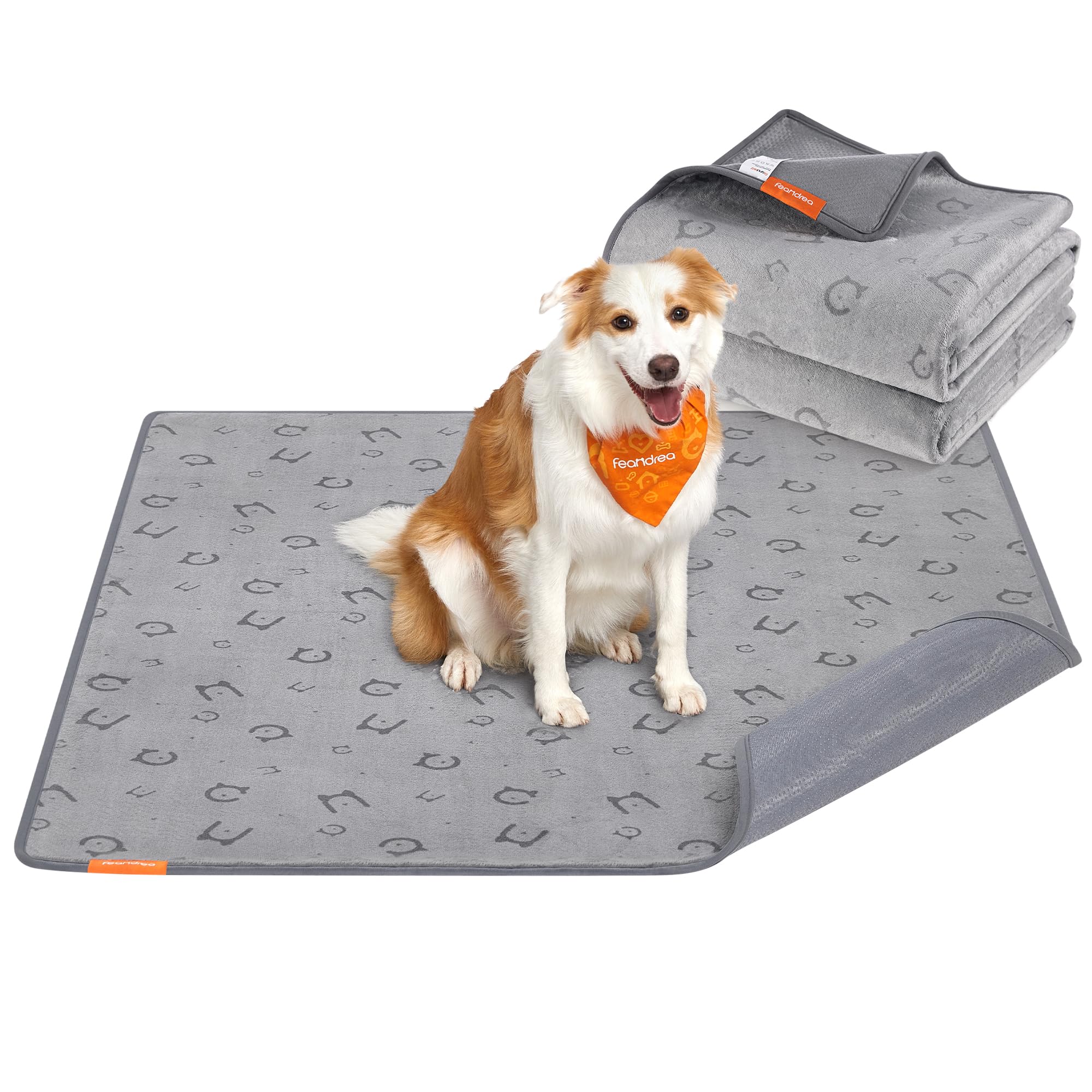 Feandrea Hundedecke, 2er Set, Wiederverwendbare Hundematte, 152 x 122 cm, XL, wasserdicht, auslaufsicher, rutschfest, saugfähig für Hunde, Katzen, Kaninchen, Taubengrau PTD004G01